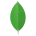 MongoDB